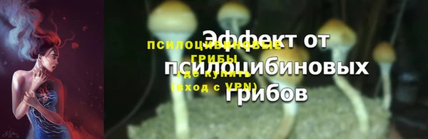 амф Богородск