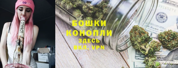 амф Богородск