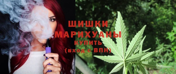 spice Рославль