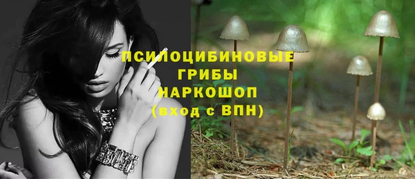 прущая мука Богородицк