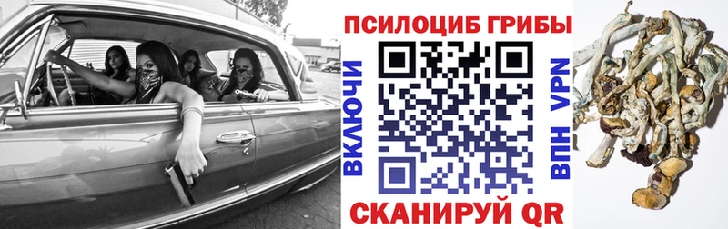 Купить закладки  Советский  Псилоцибиновые грибы Magic Shrooms 