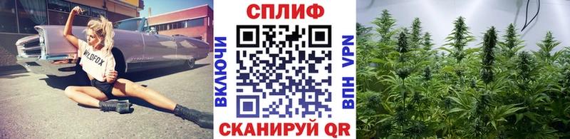 Канабис MAZAR Советский